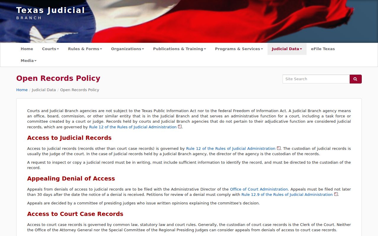 Willacy County arrest warrant records: Texas court access policy